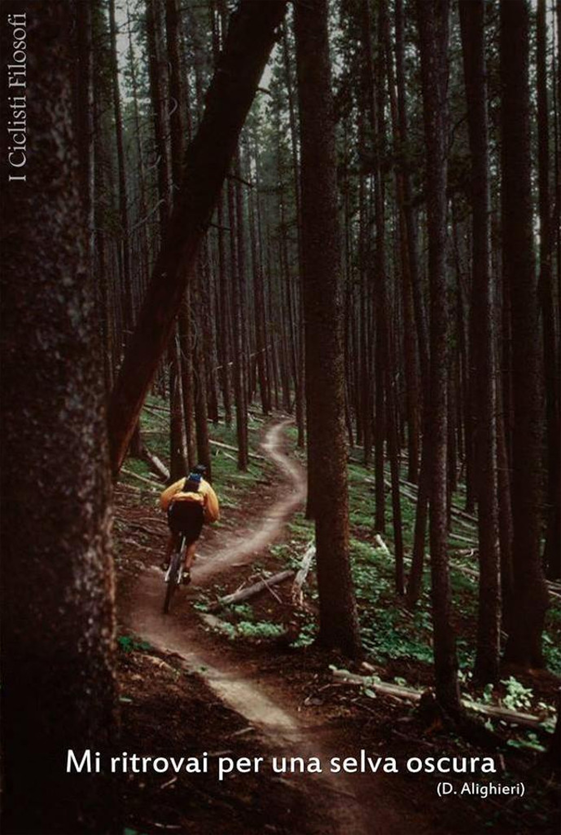 Cicloaforismi: Dante