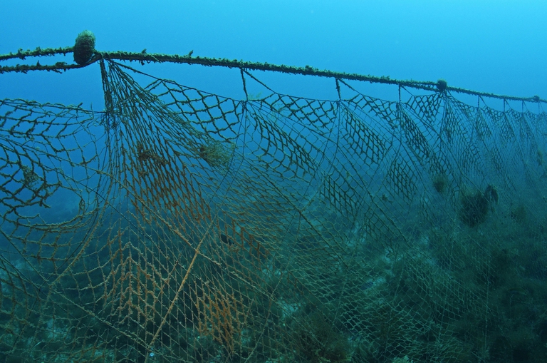 ghost fishing net