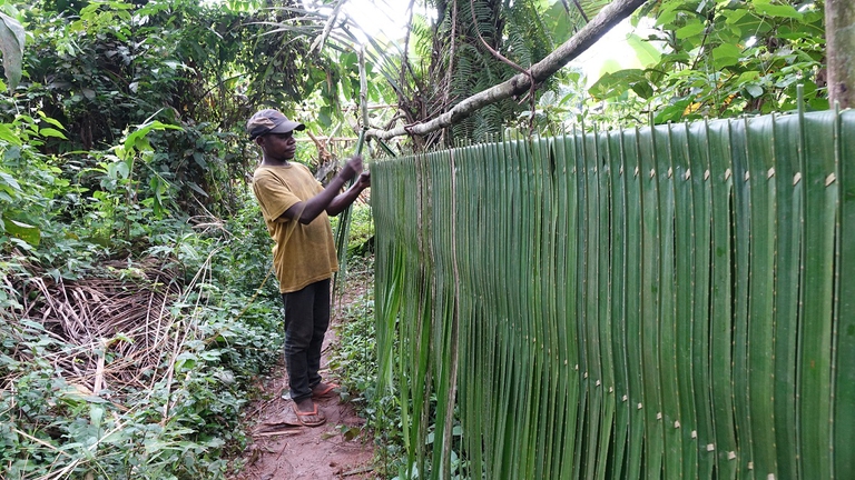 Al via la Cop 15. In gioco la tutela della biodiversità e il futuro del clima