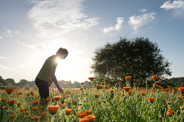 La gacilly, act beautiful