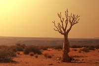Clima. Il pianeta che cambia: cosa c’è da sapere sul nuovo libro del Touring