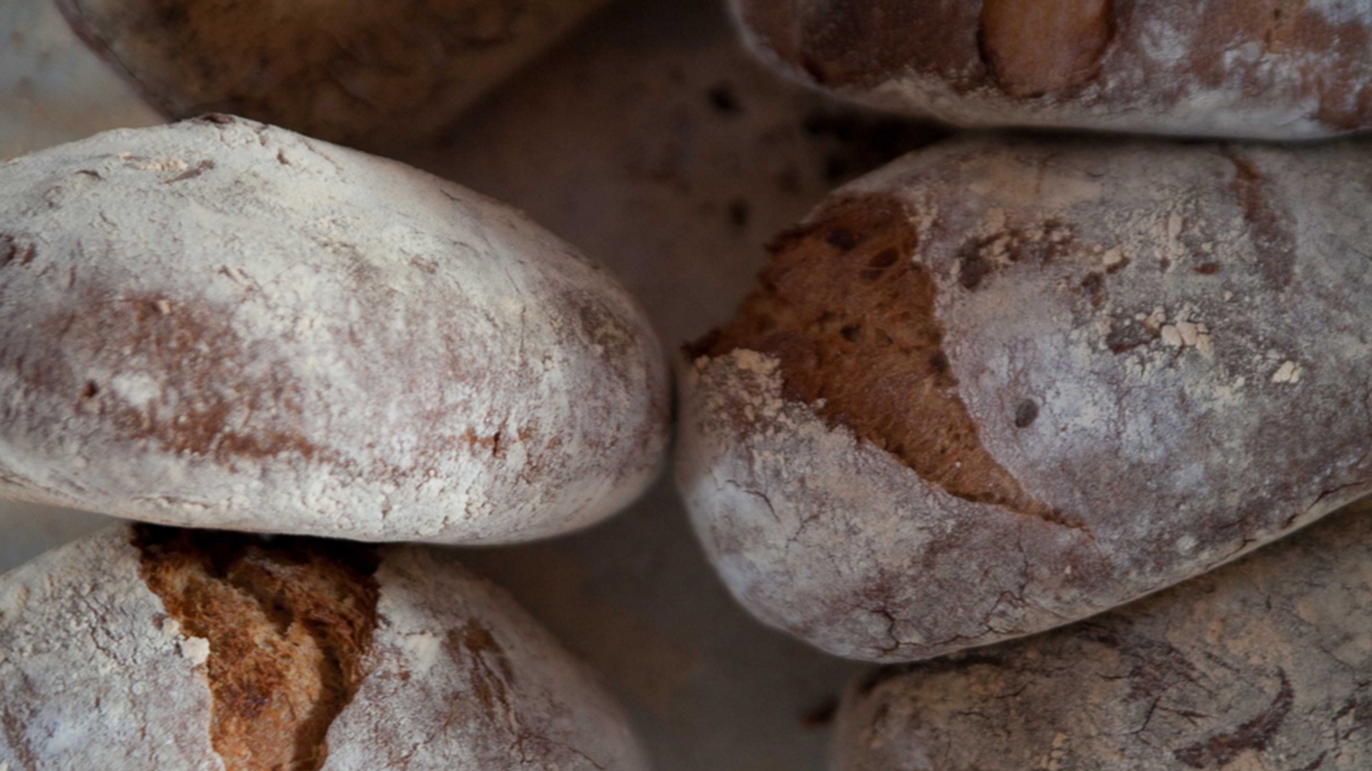 Quando il pane contiene una foresta. Intervista a Davide Longoni,  panificatore appassionato