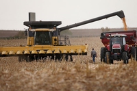 Il paradosso dell’agricoltura, il passo falso della modernità