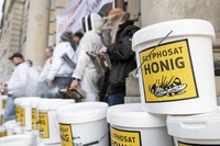 Glifosato, le associazioni al governo: no a nuove autorizzazioni