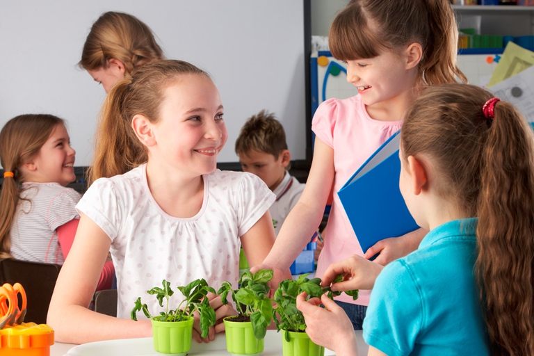 peer learning, gruppo