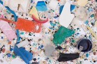 Microplastiche alla conquista del mondo, trovate nel sale e nelle feci umane