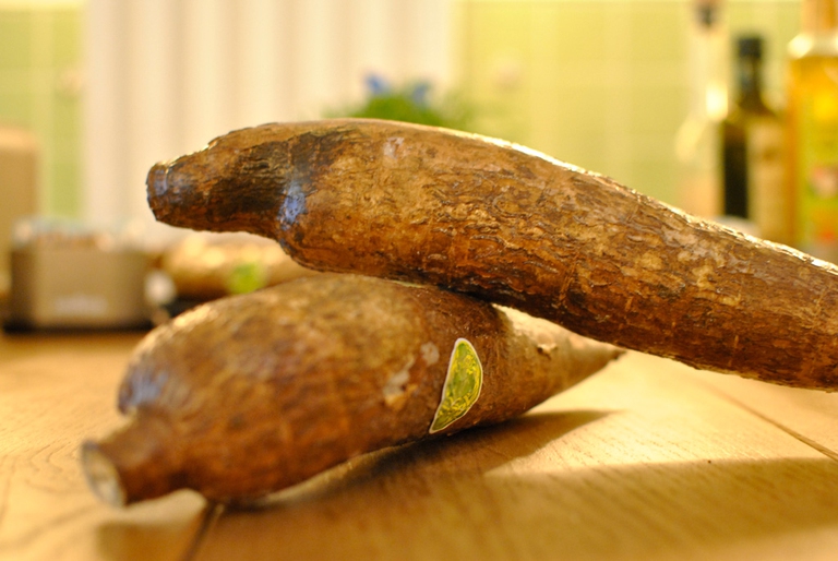 Casa Tapioca, LifeGate Café, Lavazza Alteco