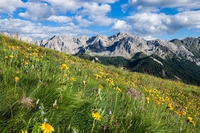 Il ritorno dei giovani in montagna grazie a ReStartApp