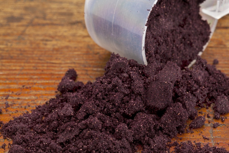 maqui powder supplements