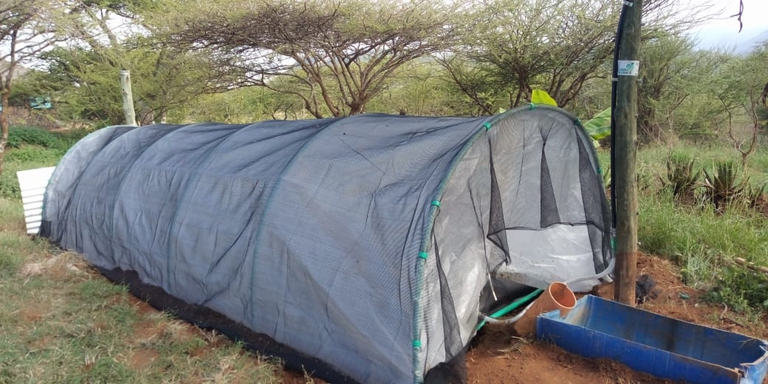 Coltivare il futuro permacolutra