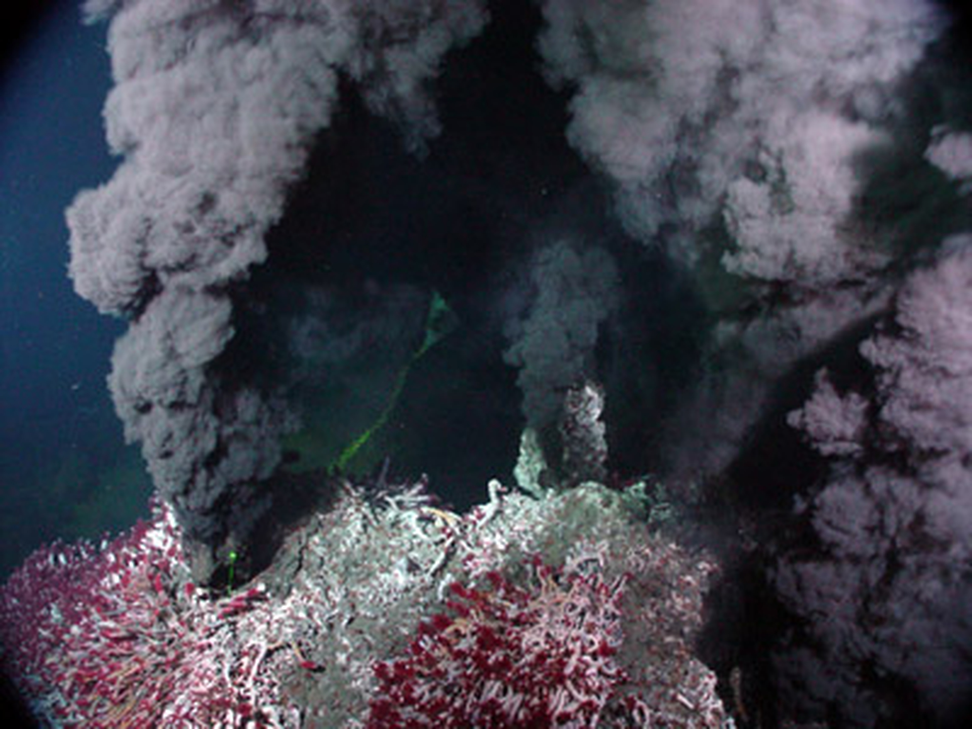 Black Smoke Hydrothermal Vents