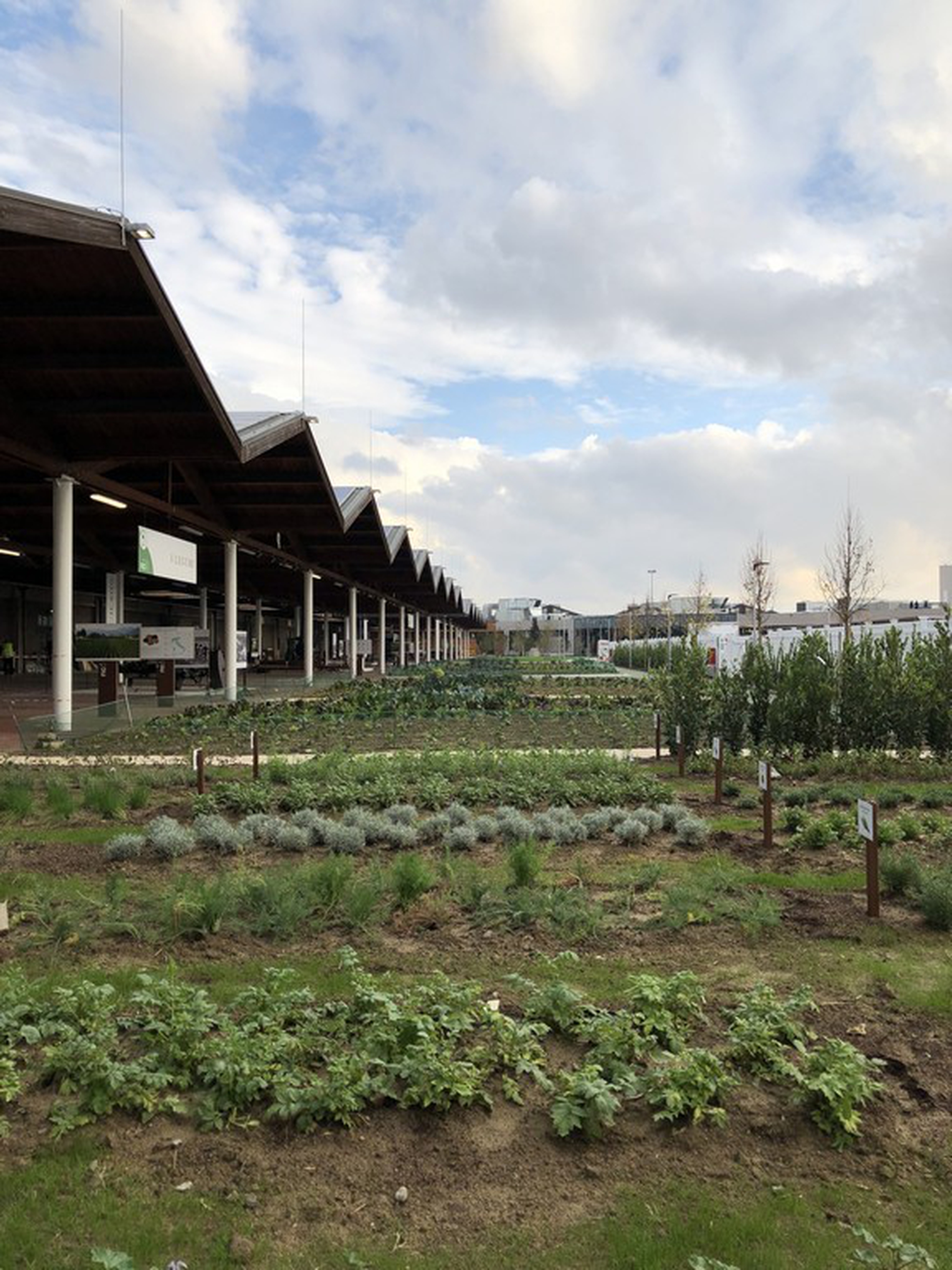 Eataly World, the mini-city dedicated to food in Bologna, Italy
