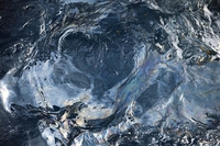 La bioplastica che ripulisce il mare dal petrolio (in 15 giorni)