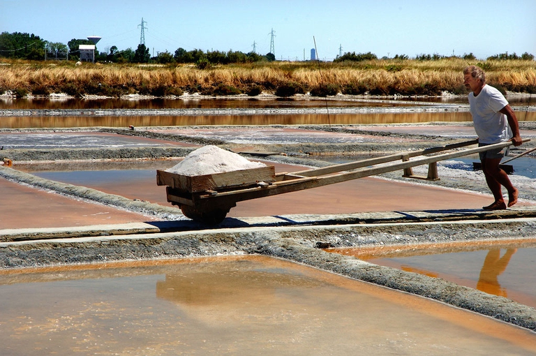 Foto www.salinadicervia.it