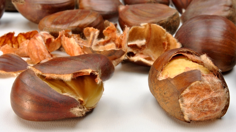 castagna-proprieta-nutritive