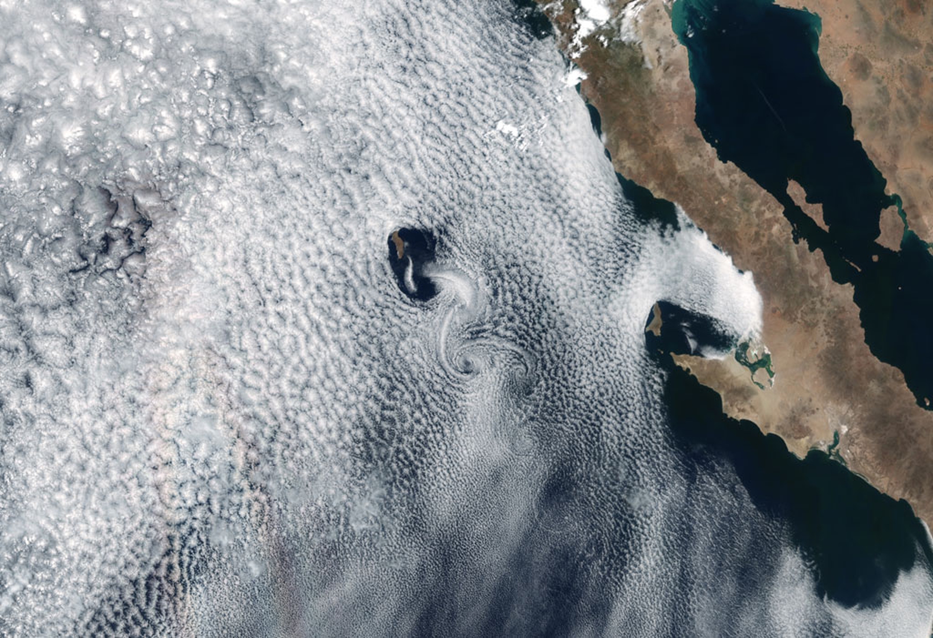 Vortici di Karman