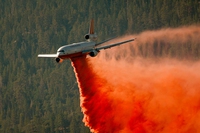California. Gli incendi di settembre 2021 hanno distrutto almeno 2.200 sequoie