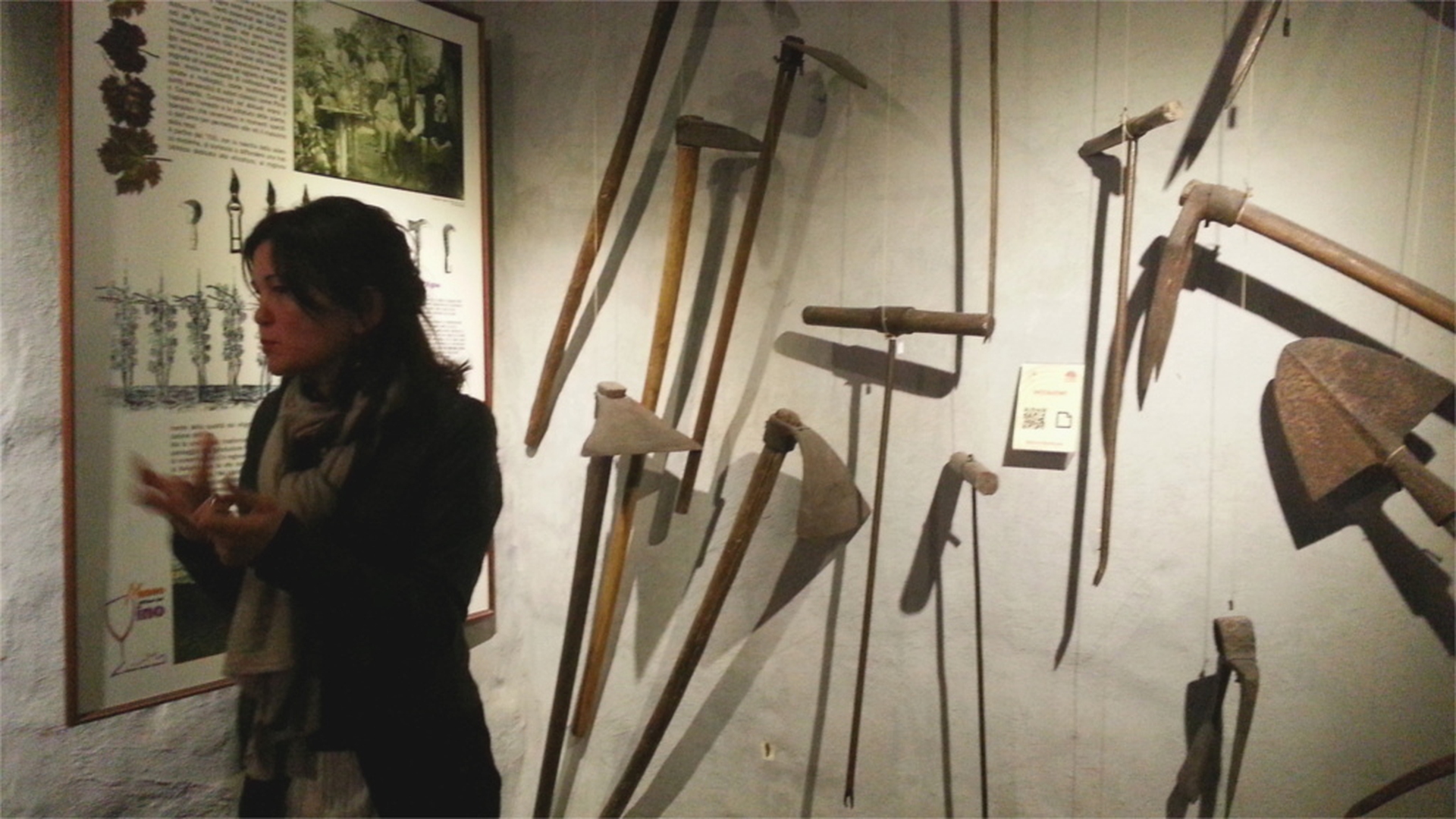 Museo diffuso del vino (con guida)