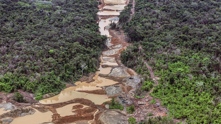 La Cop30 si terrà in Brasile, nella foresta amazzonica