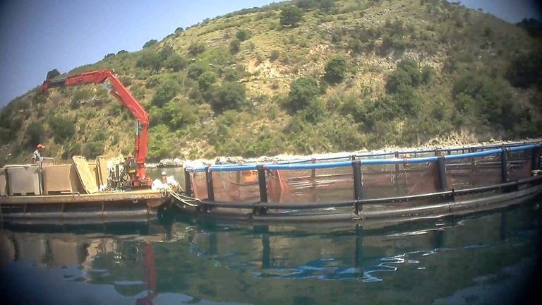 Allevamenti di orate e branzini in Grecia