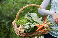Natural groceries: fresh or conserved, tropical or local?