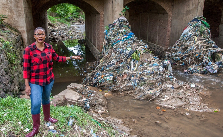 Goldman environmental prize