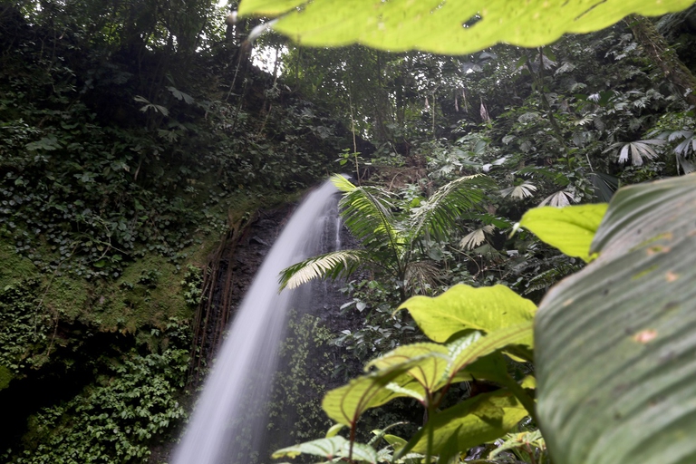 Corcovado National Park, Costa Rica, is home to 2.5% of the planet's biodiversity Photo by Joe Raedle/Getty Images