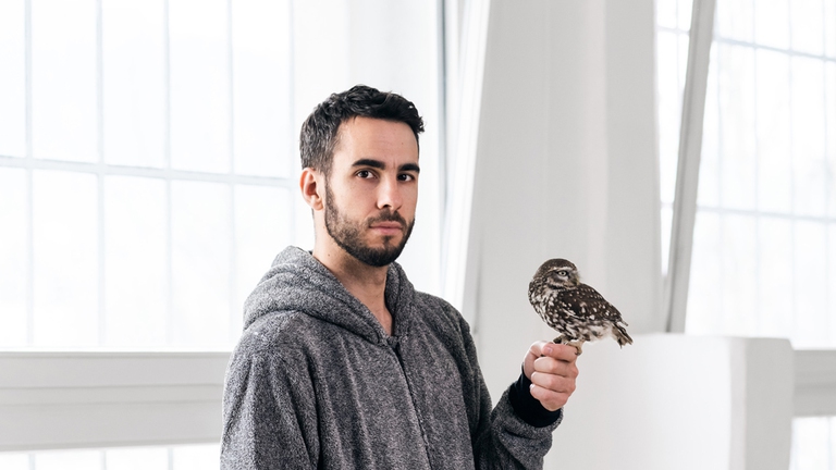 Manu Delago ha dedicato una canzone a un gufo, dopo averne incontrato uno in casa a tarda notte