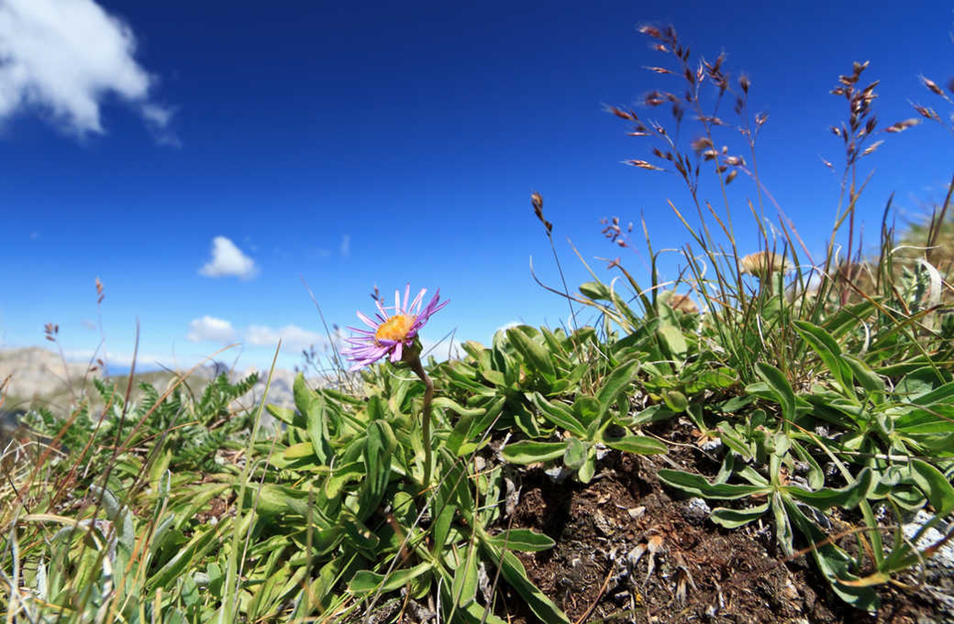 5 vacanze digital detox