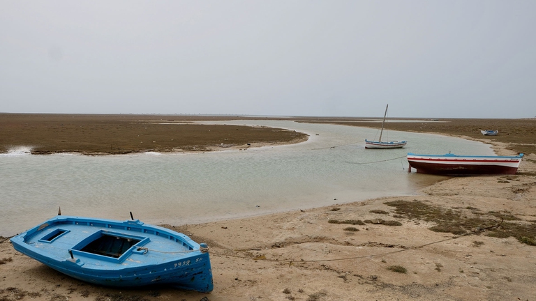 La scomparsa delle spugne: a Kerkennah per conoscere i depuratori naturali del mare