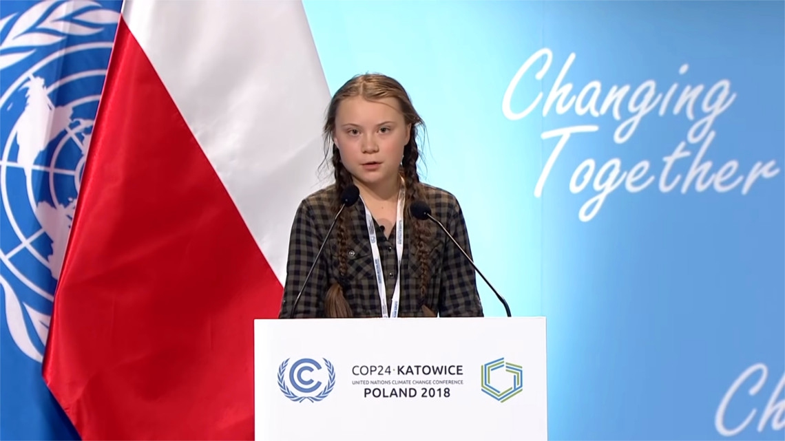 Cop 24 significato