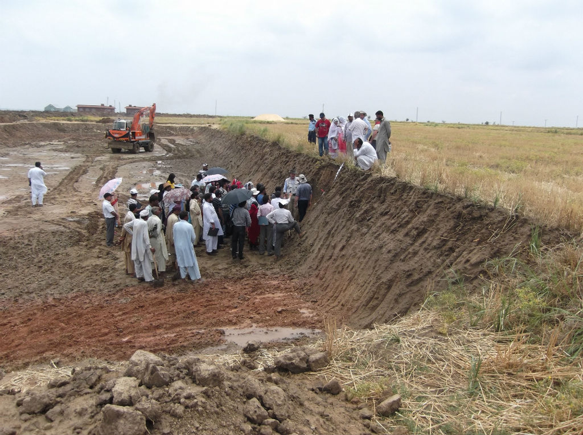 Cnr, come contrastare la desertificazione con agroecologia e riforestazione