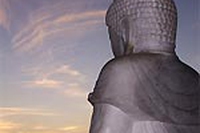 Il Buddha e i Buddha