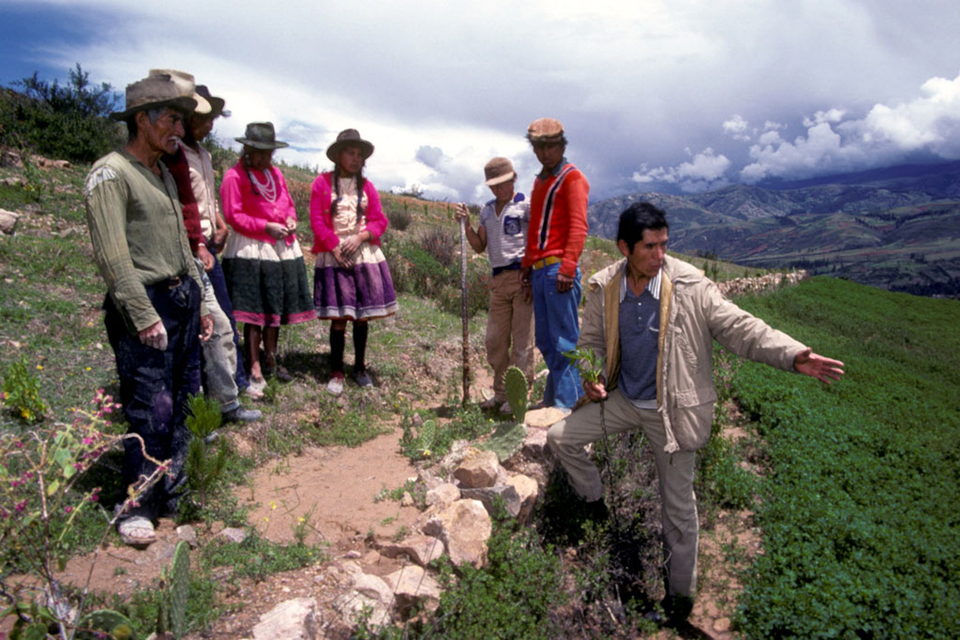 Agricoltori in Perù imparano a praticare l'agricoltura terrazzata