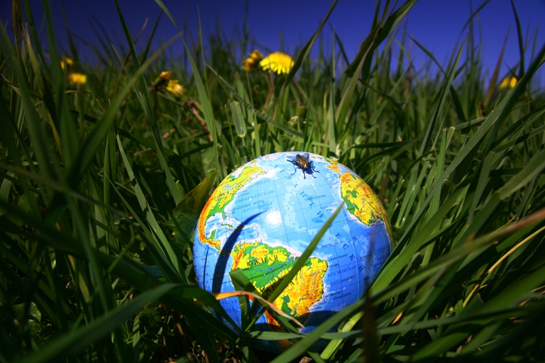 Le imprese attente all'ambiente e alla società sono anche più stabili e redditizie.