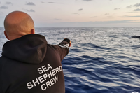 Se gli oceani muoiono, noi moriamo. La lotta di Sea Shepherd contro la pesca illegale