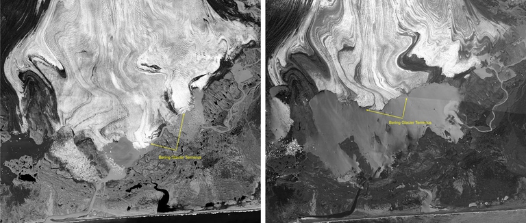 surge glaciale, alaska, denali