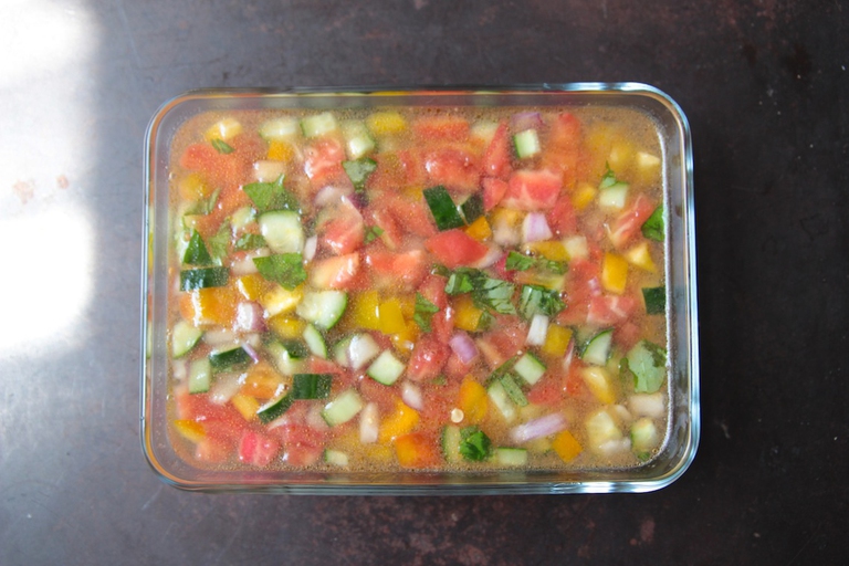 Gazpacho in gelatina