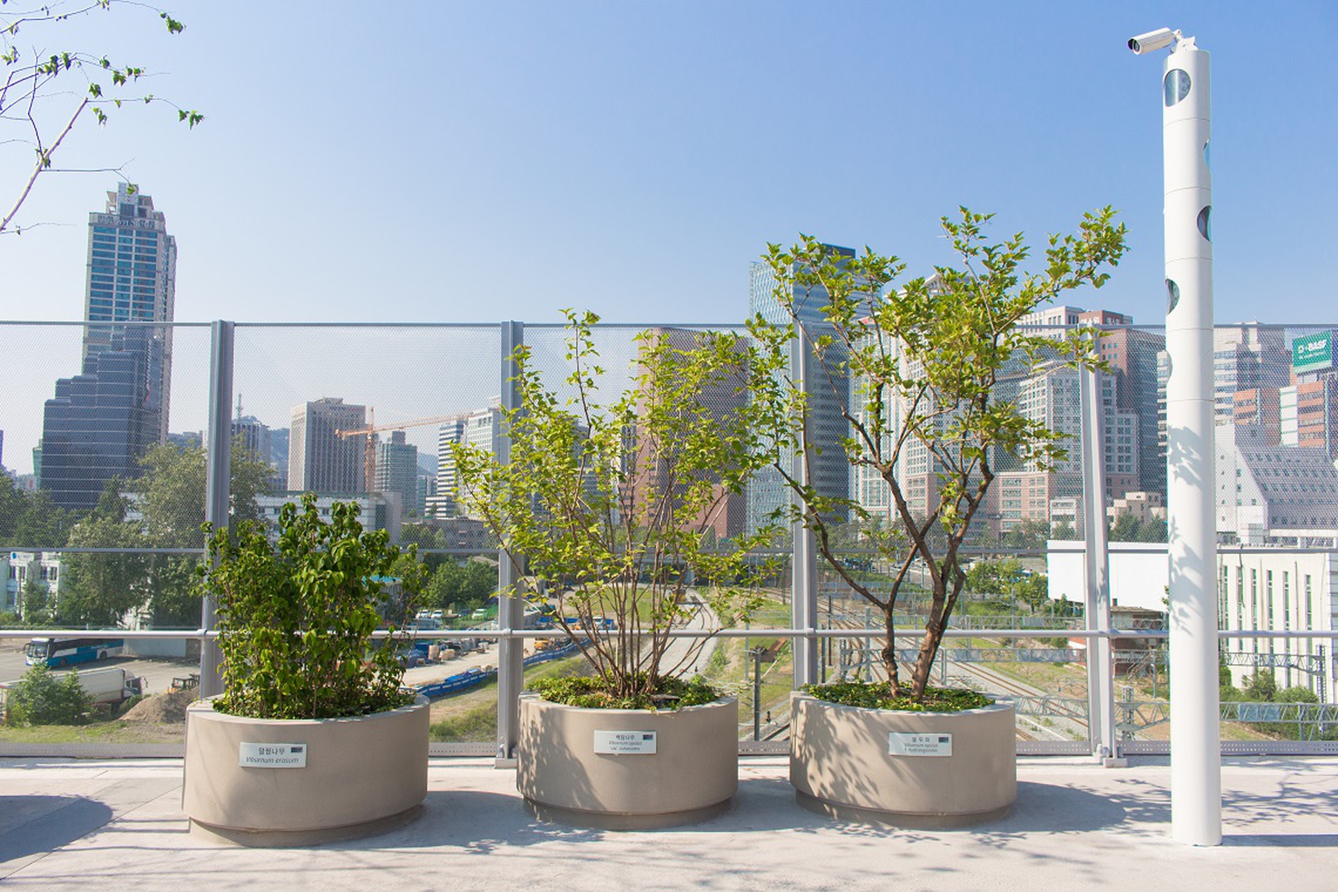 The newly opened walkway of Seoul