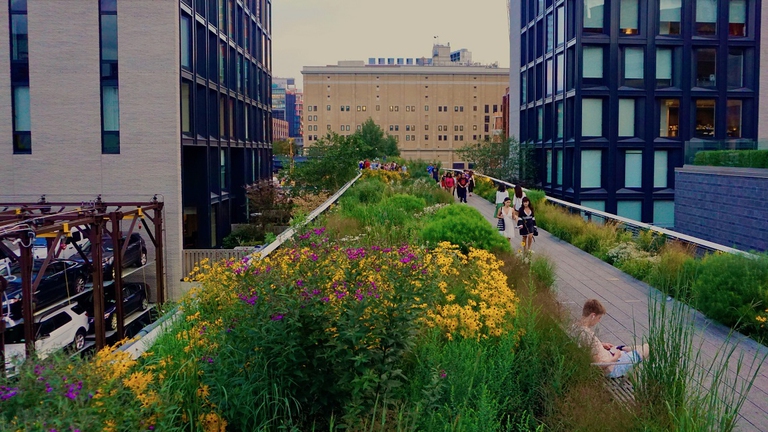 Il parco urbano newyorkese High Line