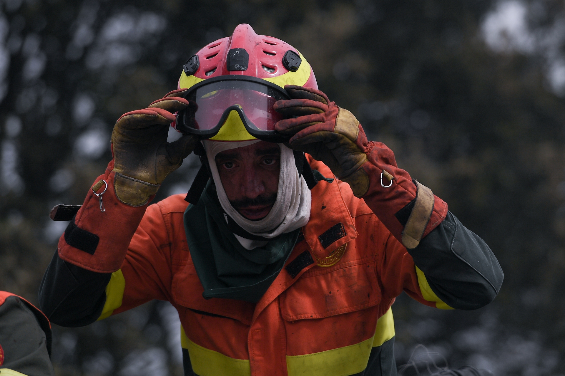 Italian Daily Life 2021