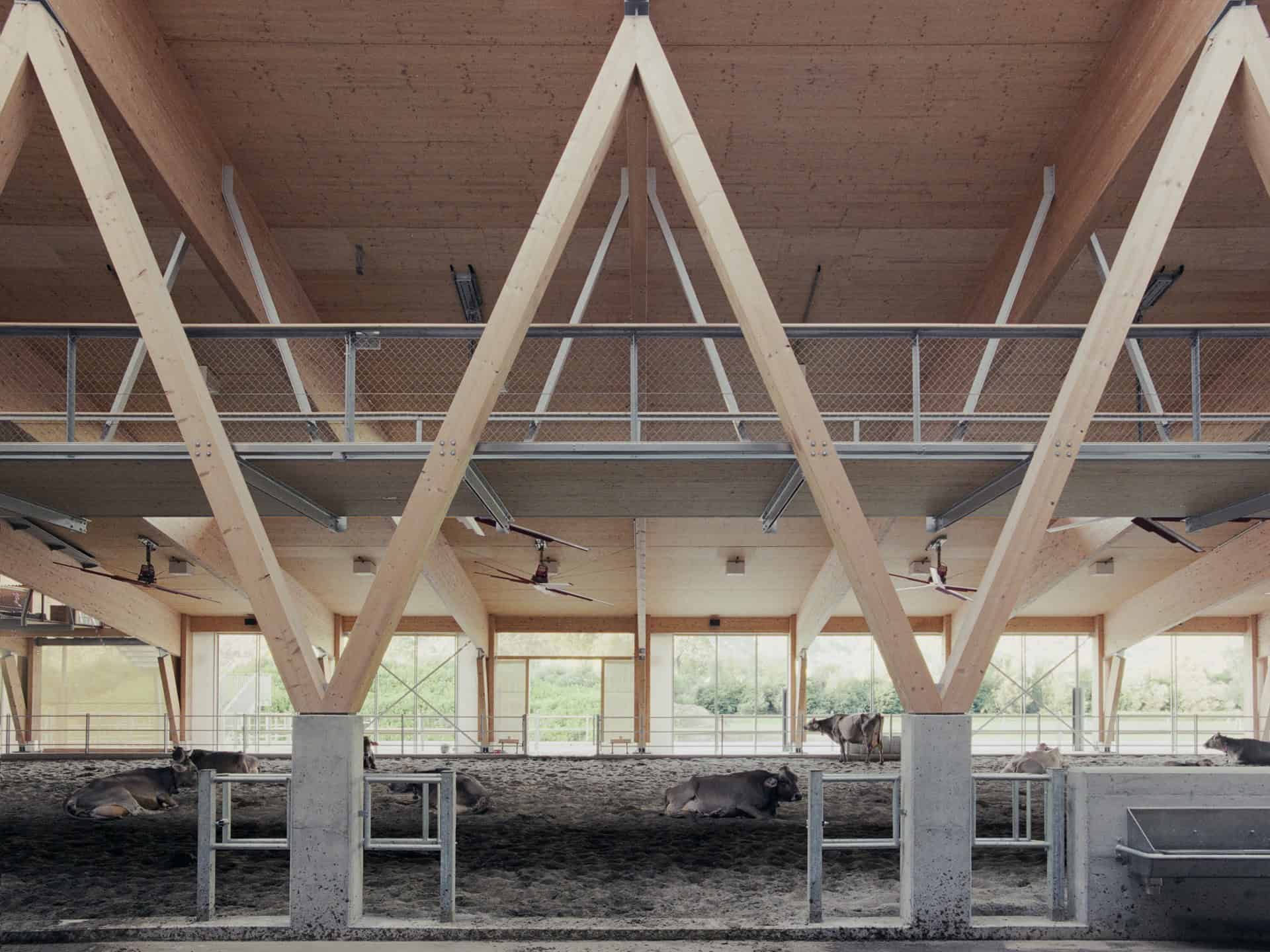 The Big Zip © Marcello Mariana