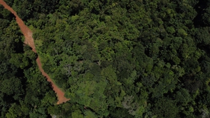 The educational forest in Batraja, Bolivia, seen from above