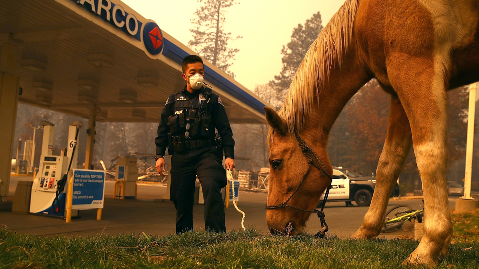 La città di Paradise in California