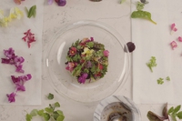 La ricetta del bouquet di insalate e aloe vera