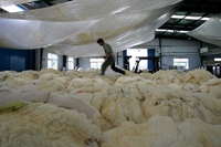 Quali brand di moda hanno abbandonato definitivamente le pellicce animali