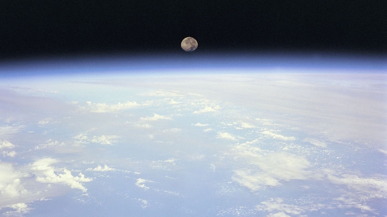 Terra antropocene