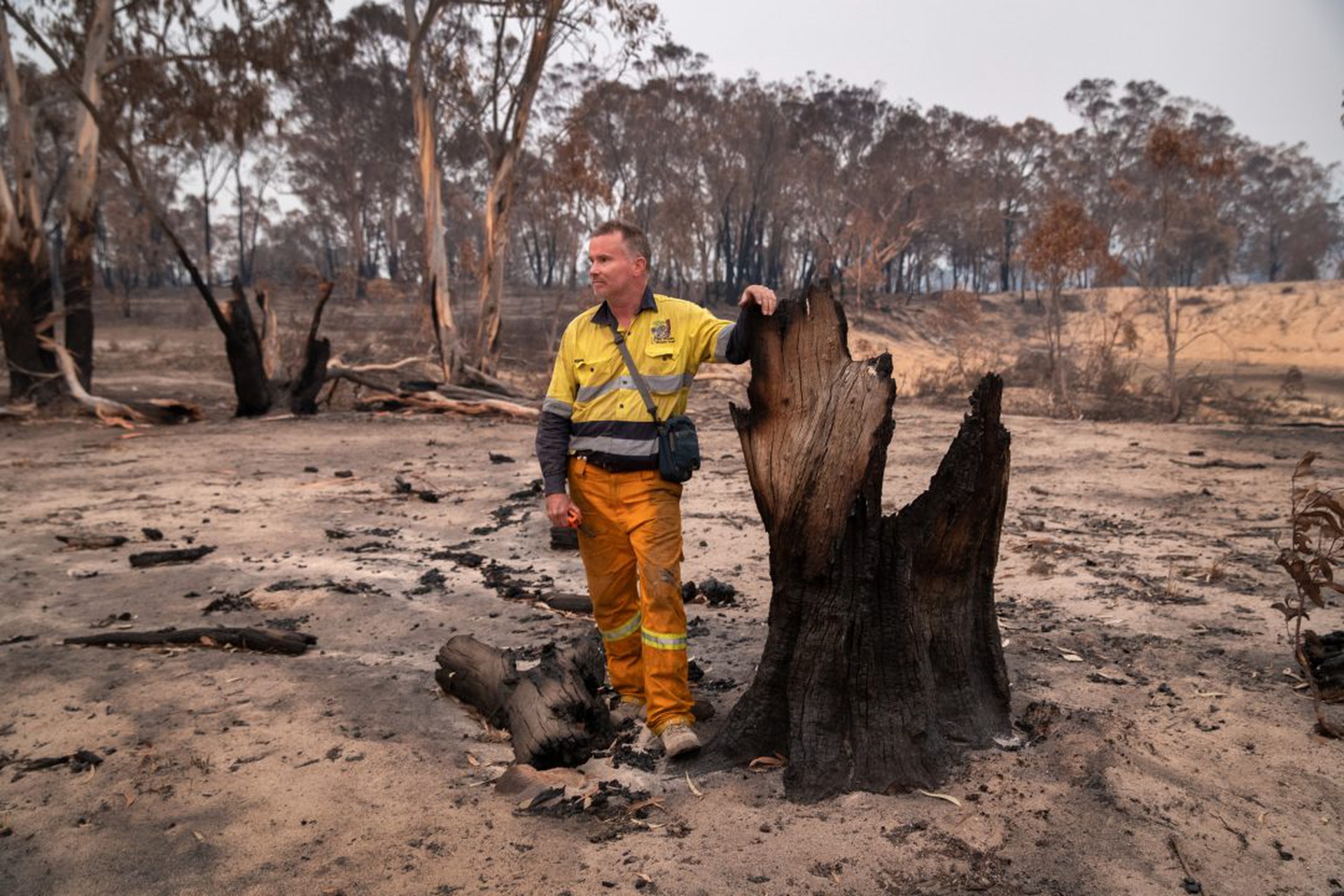 The Survivors: Saving Australian Wildlife Following Fires And Drought