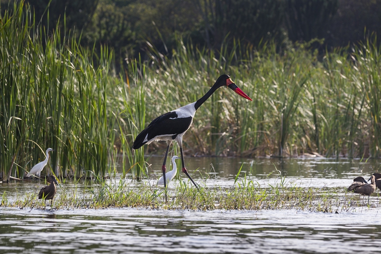 clima unesco siti naturali