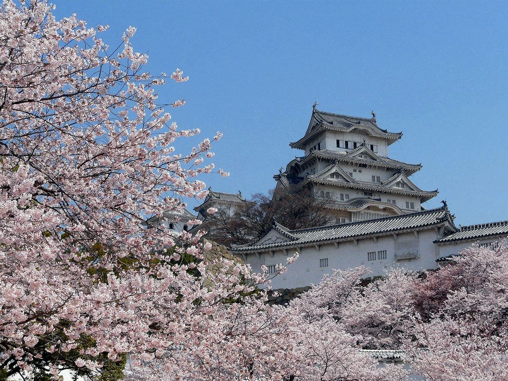 Dintorni-di-Osaka--Himeji